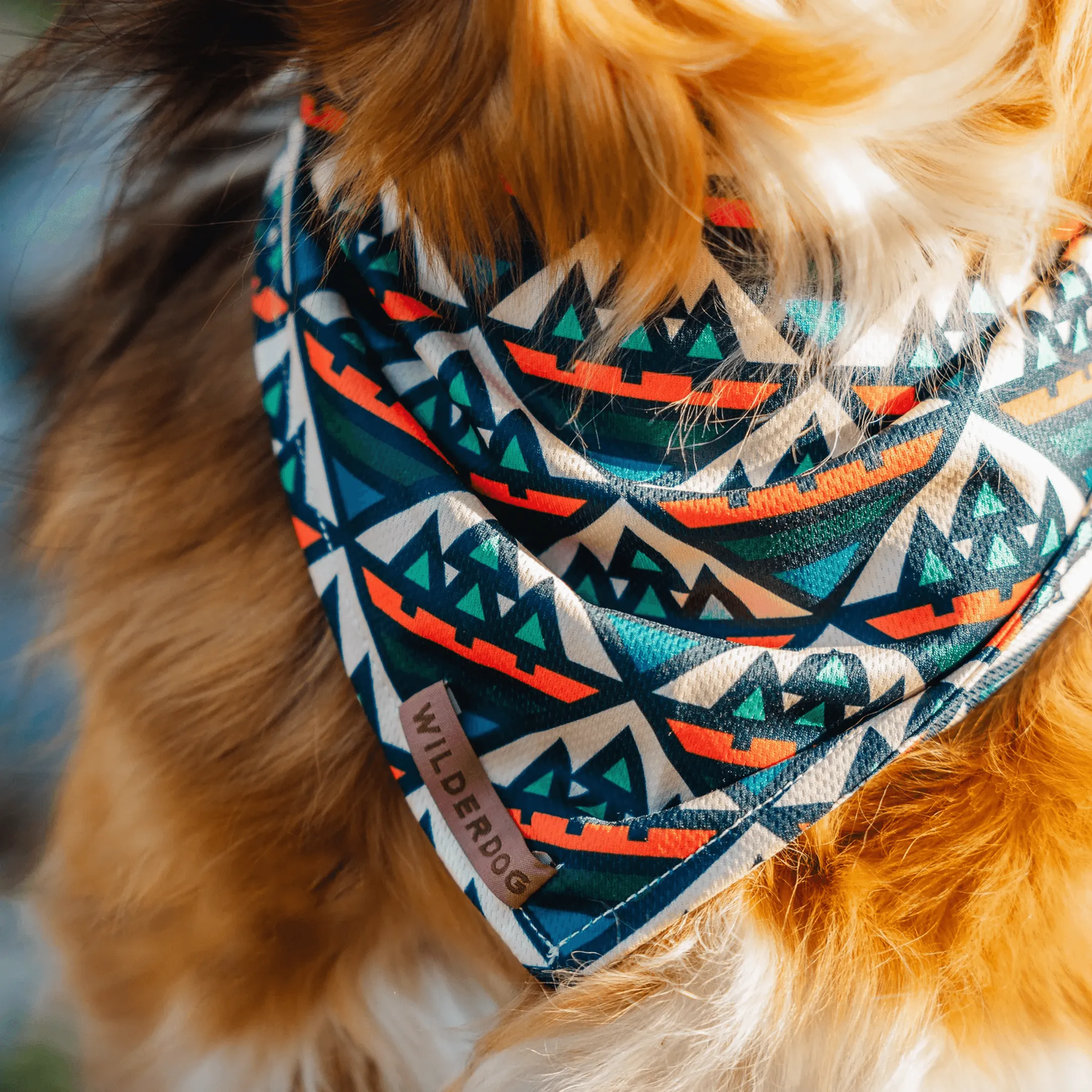 Camp Cooling Bandana