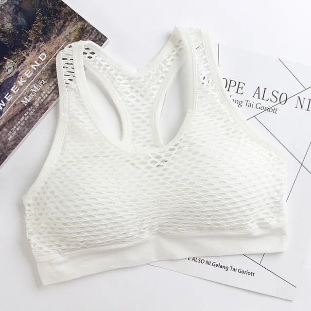 Mesh Sports Bra B921H