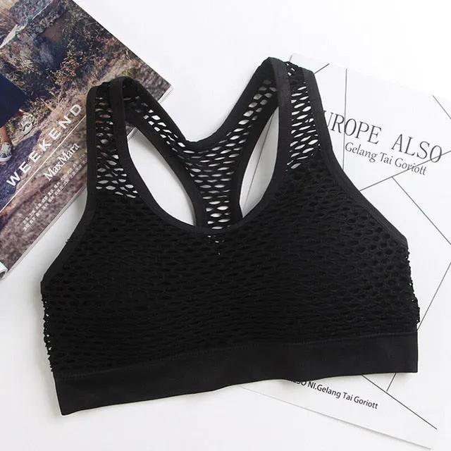 Mesh Sports Bra B921H