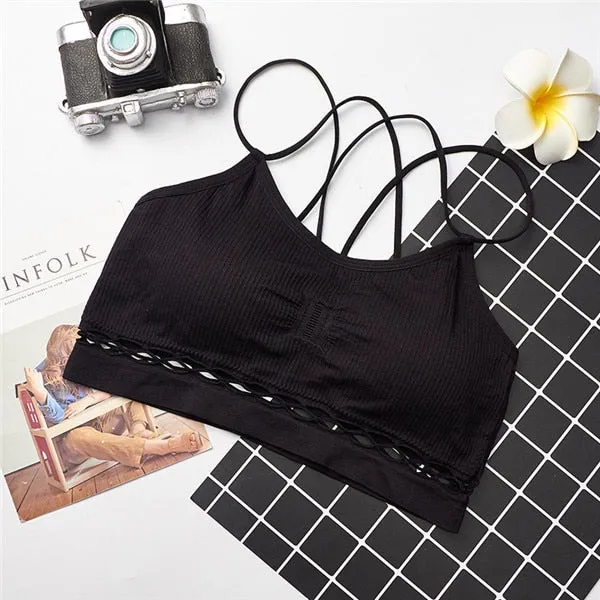 Out Professional Sports Bra